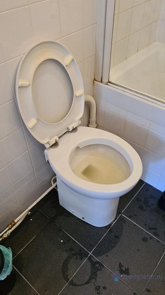  verstopping toilet Leiderdorp